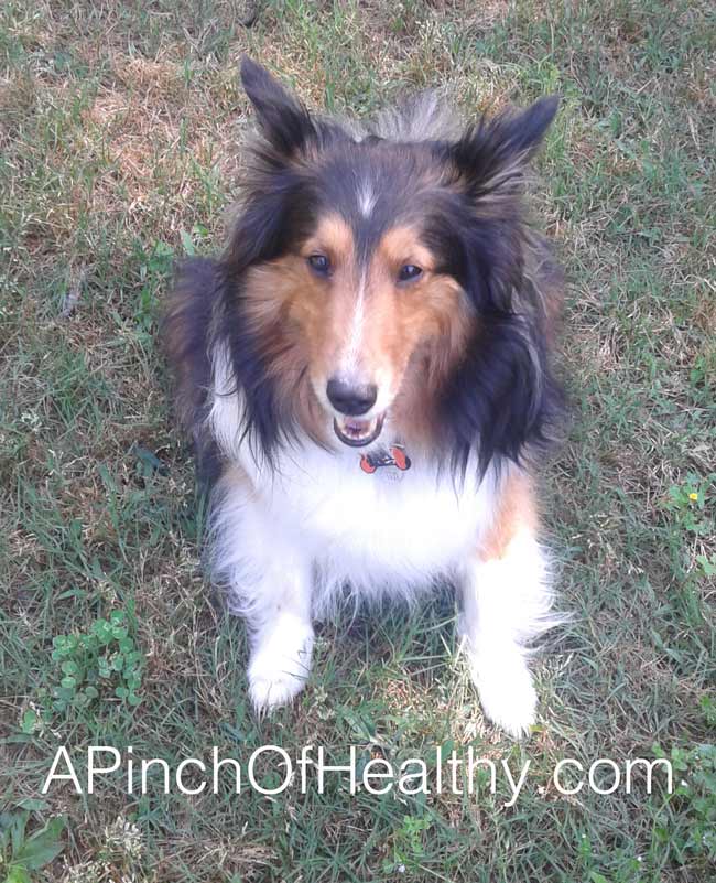 #MobileMemories with Walmart Family Mobile