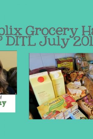 Publix Grocery Haul. Plus A Day in the Life. | APinchOfHealthy.com