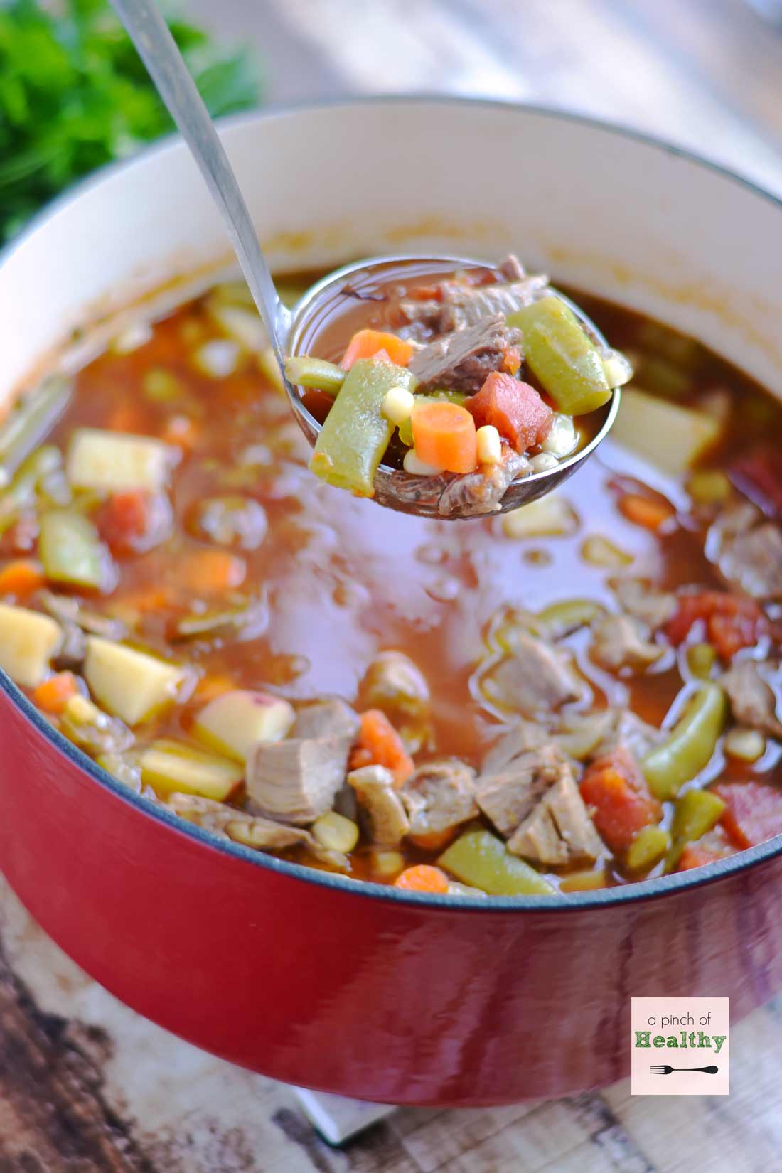 Vegetable Beef Soup A Pinch of Healthy