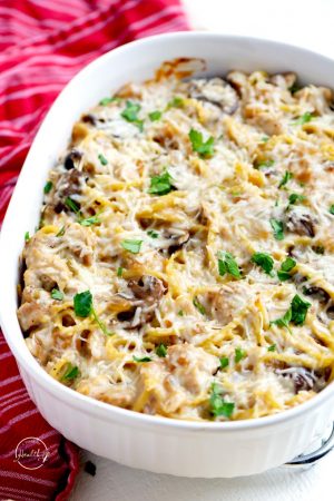 Chicken tetrazzini casserole with chicken, mushrooms, creamy white wine sauce and parmesan cheese