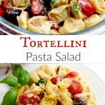 Tortellini pasta salad vegetarian kalamata olives, artichokes, tomatoes, olive oil, garlic