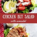 Chicken BLT Salad Pin