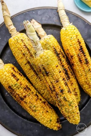 Grilled Corn on the Cob on dark plate with char marks