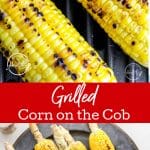 Grilled Corn on the Cob
