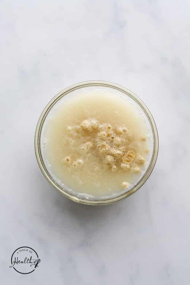 Yeast mixture in a bowl