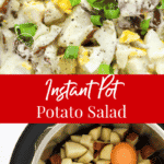 Instant Pot Potato Salad Recipe