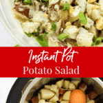 Instant Pot Potato Salad Recipe