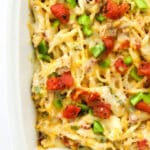 chicken spaghetti closeup in a casserole dish