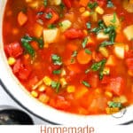 Homemade Vegetable Soup Recipe