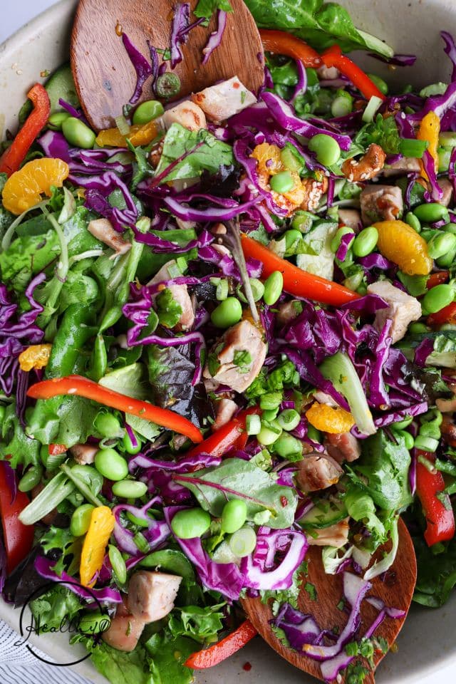 Close up shot of Asian Chicken Salad showing all of the colors and different ingredients.
