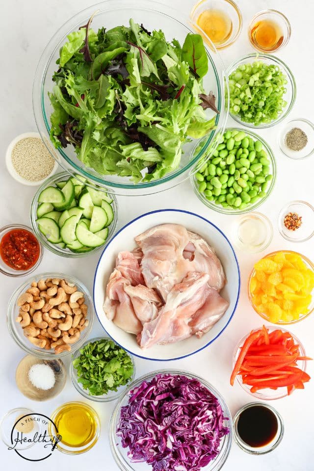 Ingredients for Asian Chicken Salad in separate containers on a white background.