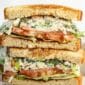 Chicken salad sandwiches stacked on top of each other with slices of tomato.